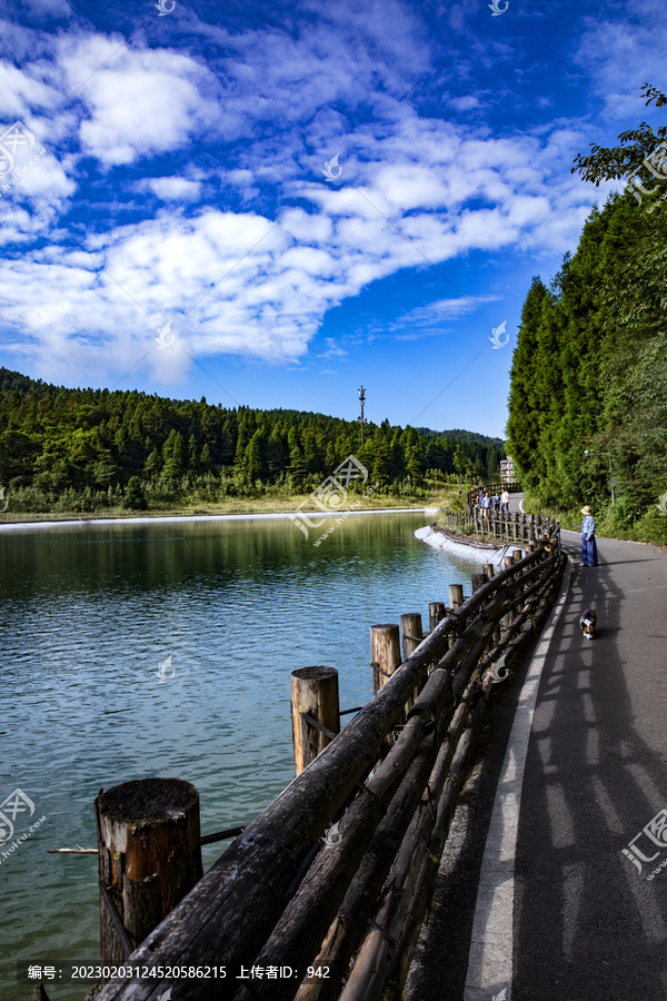 重庆武陵山森林公园