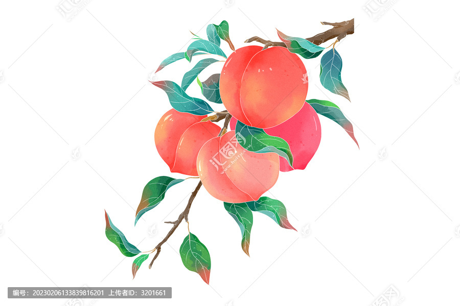 中国风水手绘蜜桃果酒包装插画