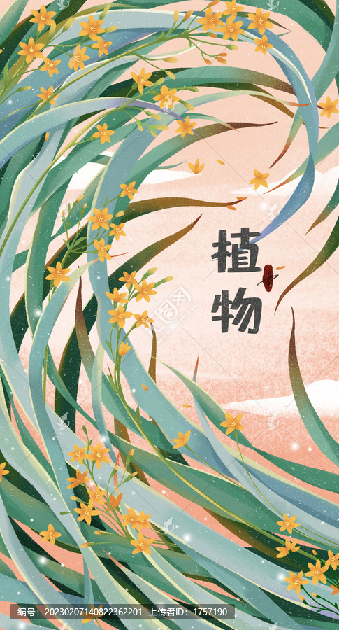 植物花卉
