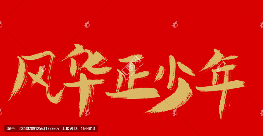 風華少年
