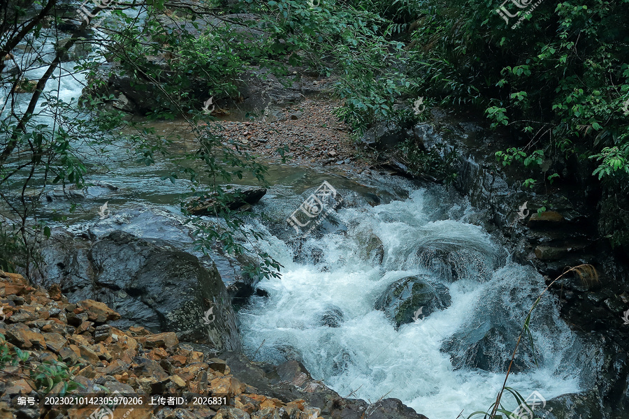 溪流小溪流水山泉水