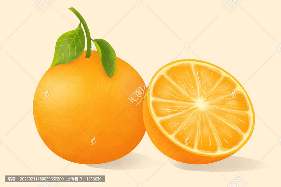 橙子插畫