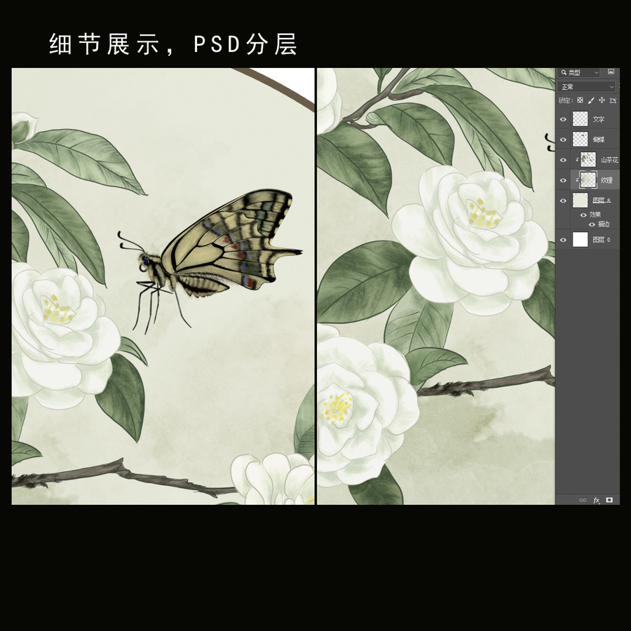 山茶花水彩
