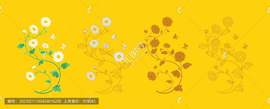 亳菊
