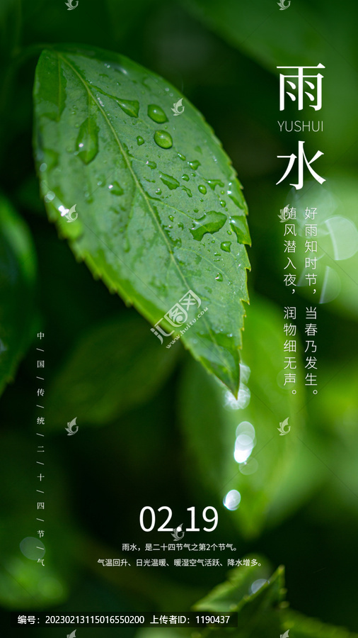 樹葉水珠雨水海報(bào)
