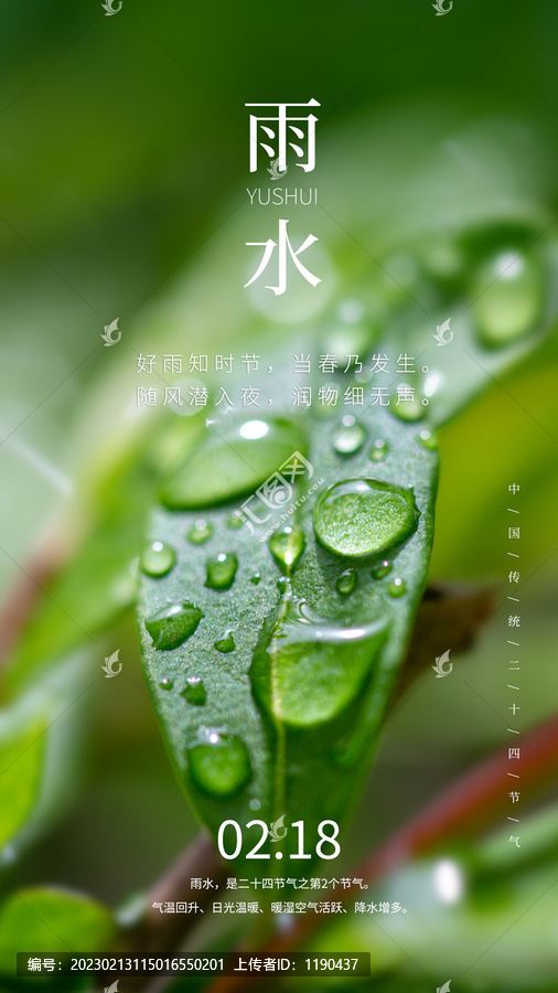 二十四節氣雨水海報