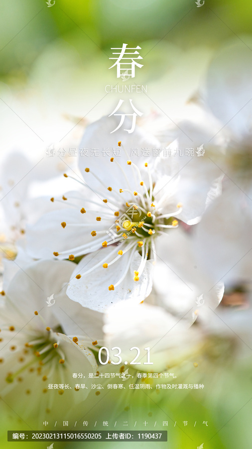 開花春分海報(bào)