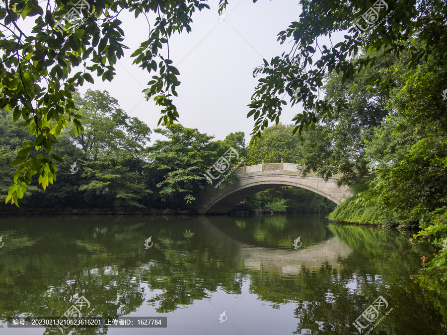 杭州西湖花港观鱼