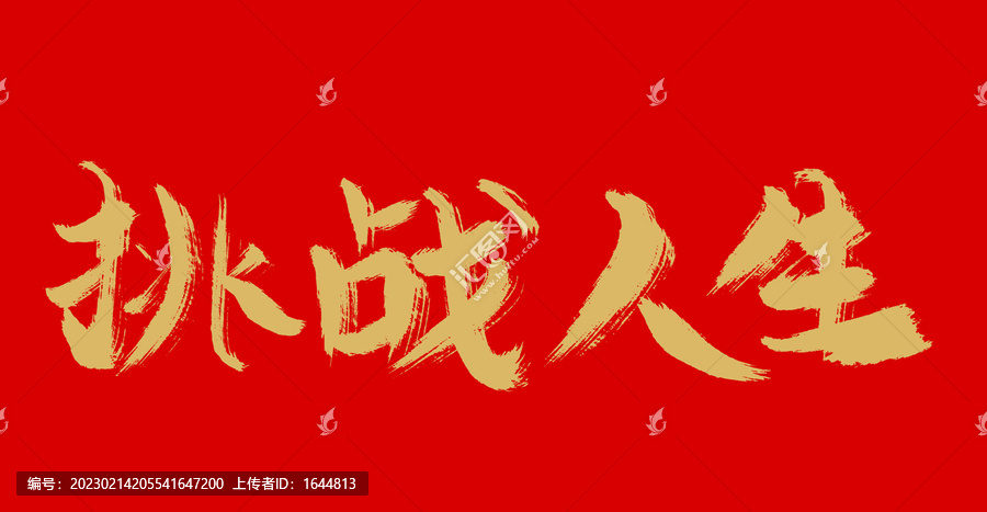 挑戰(zhàn)人生