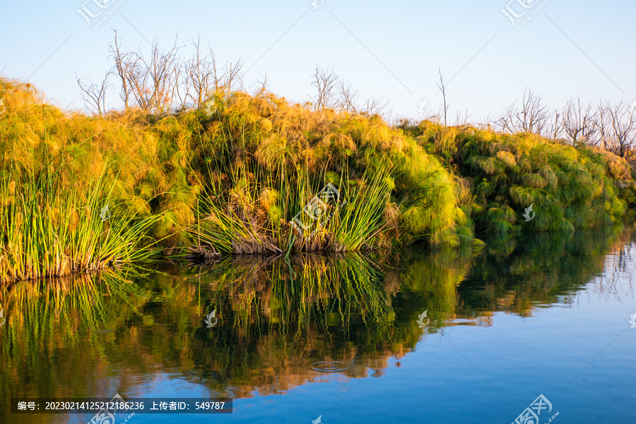 昆明滇池湿地风光