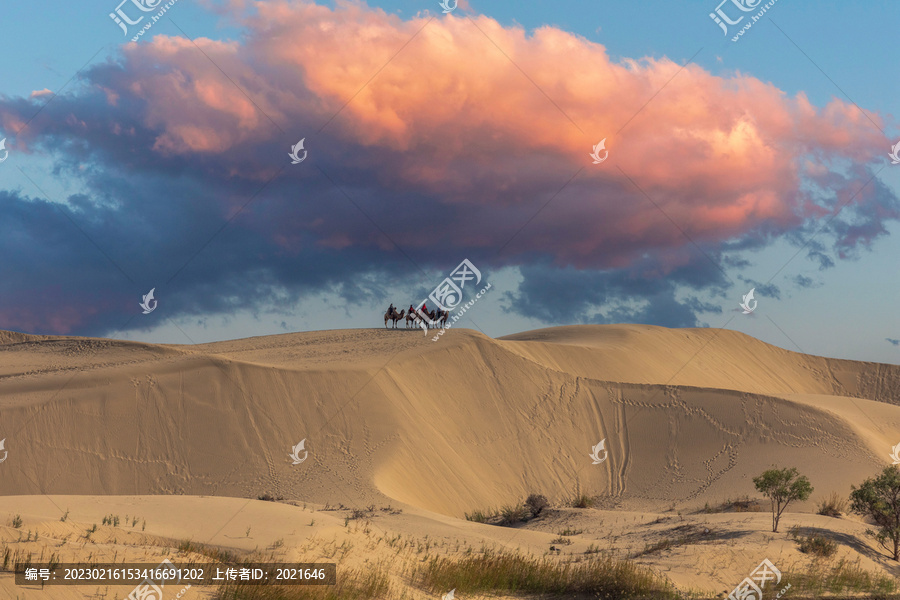 天空彩云骆驼沙漠