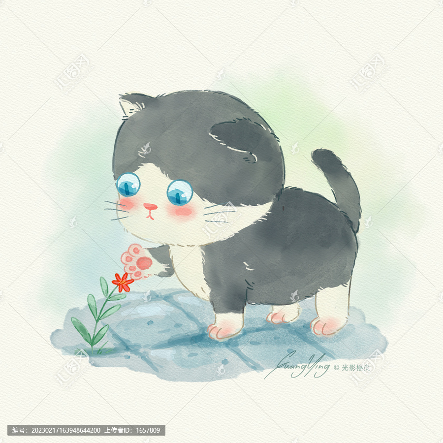 水彩貓咪插畫(huà)