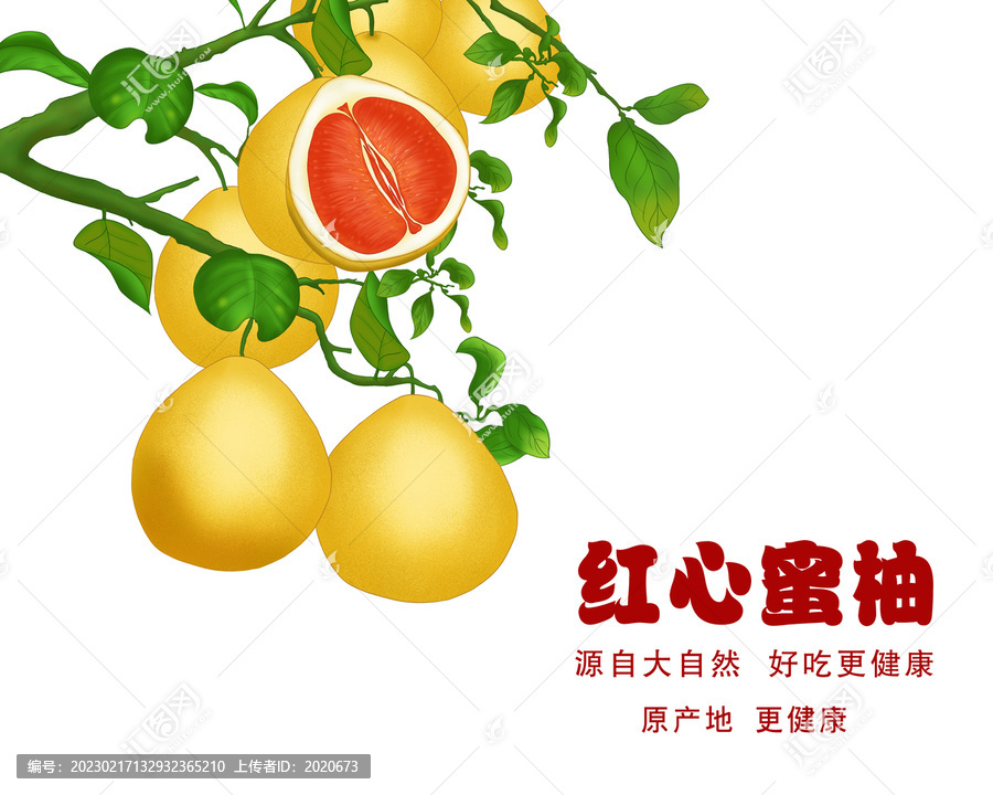 手繪柚子