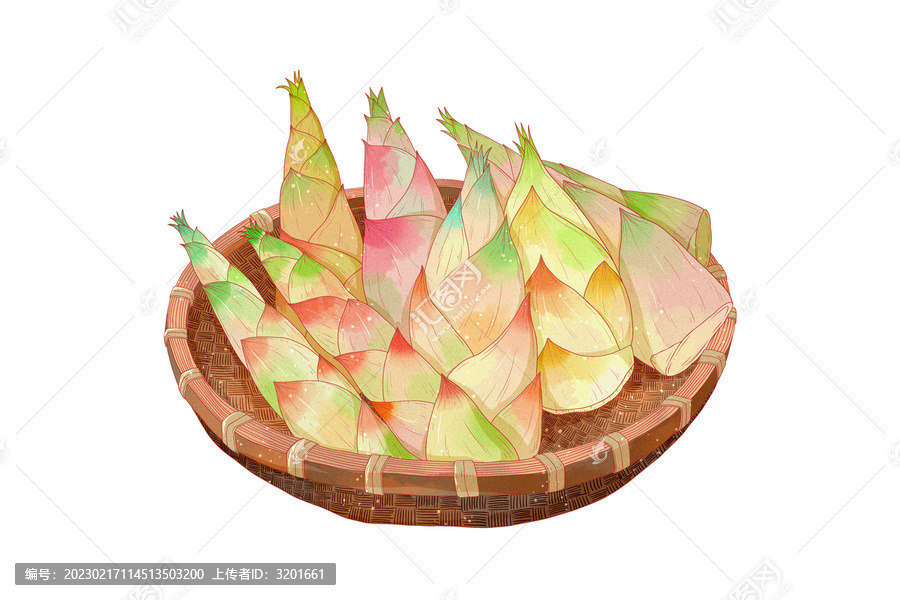 中國風(fēng)手繪食物竹筍春筍