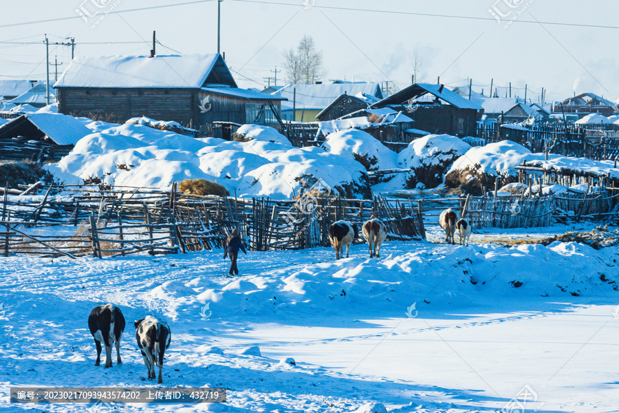 冬季大雪乡村民居