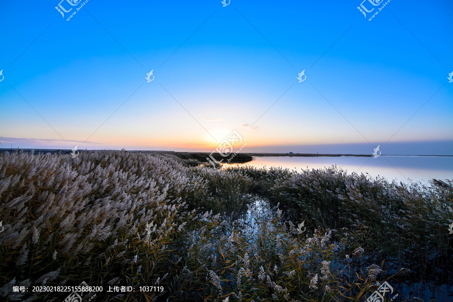 居延海