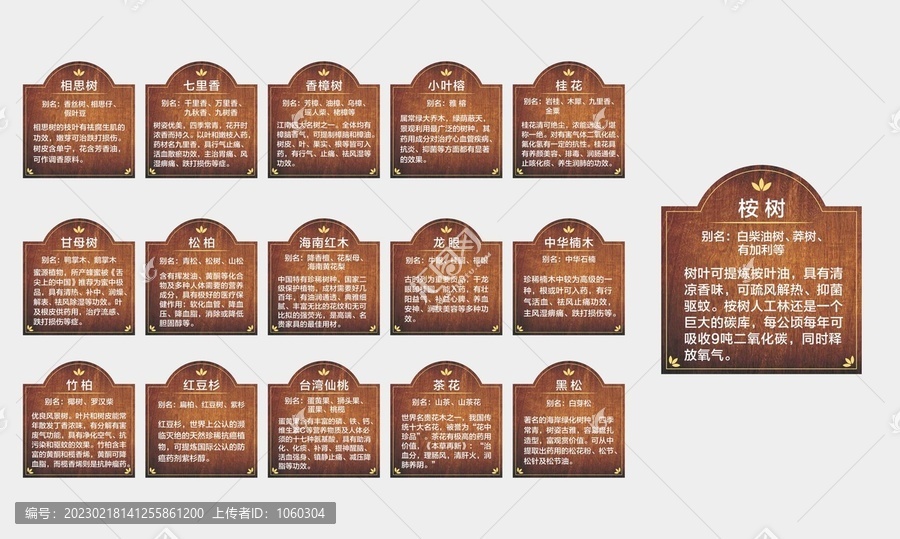 樹名牌樹銘牌園林樹木掛牌