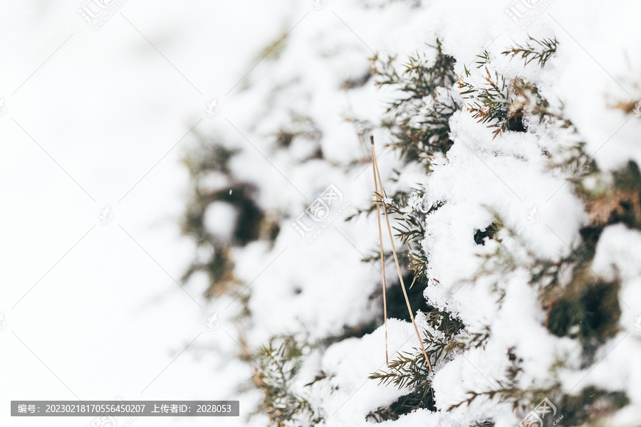 冬季户外白雪堆满