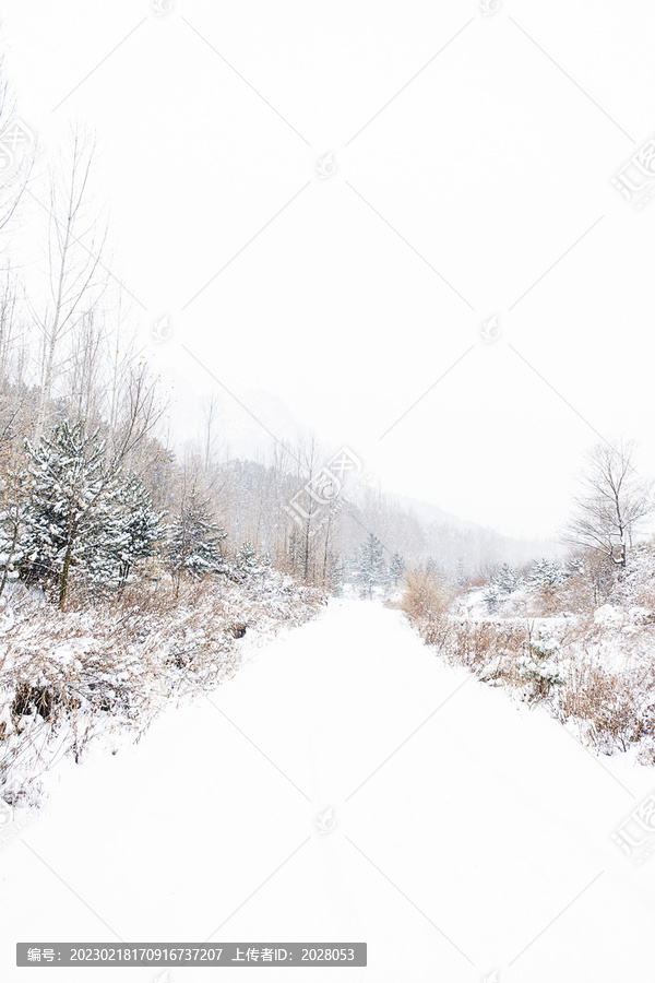 冬天大雪中的山路通道