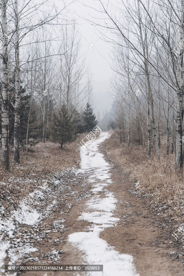 冬季雪后的山林小路