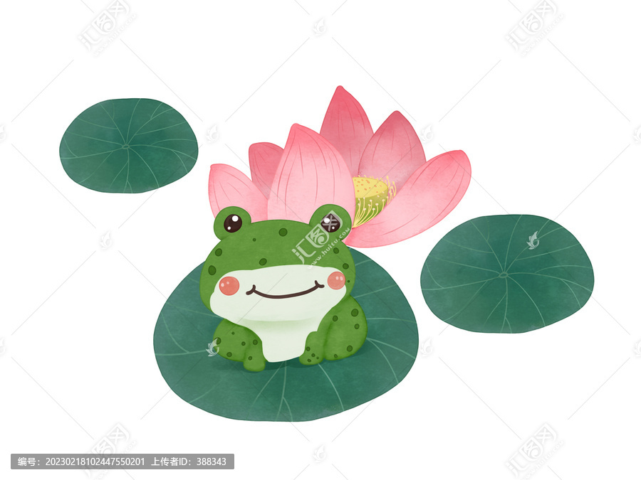 青蛙荷花