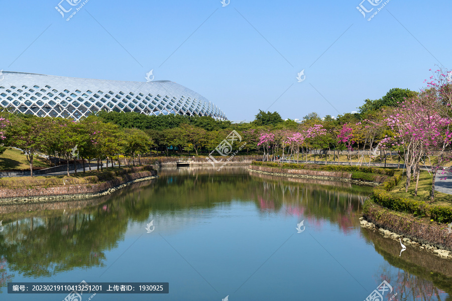 深圳市深圳湾后海浅滩绿化景色