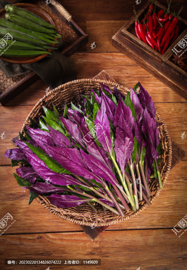 木底上的紫背菜