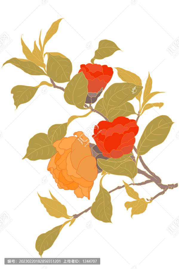 山茶花
