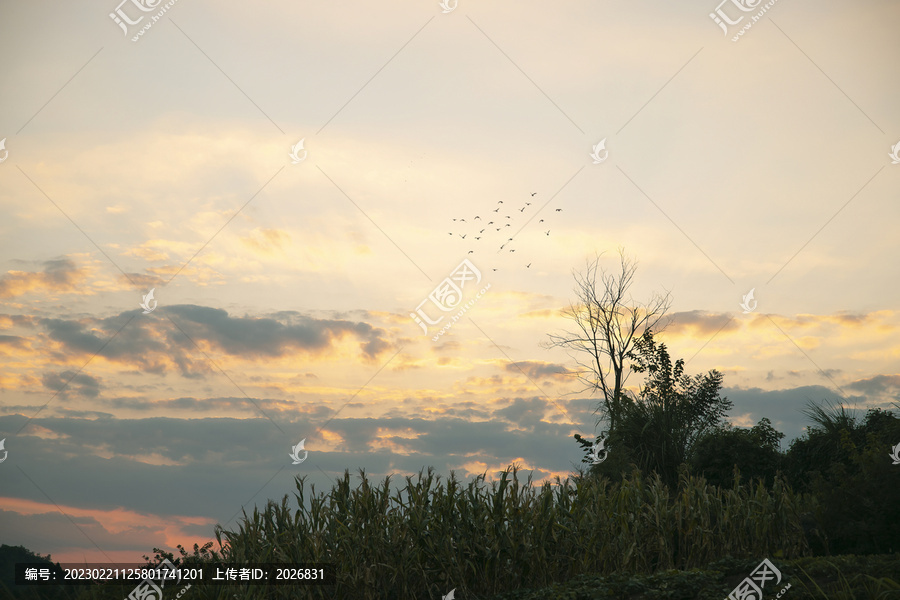 晚霞夕阳乡村