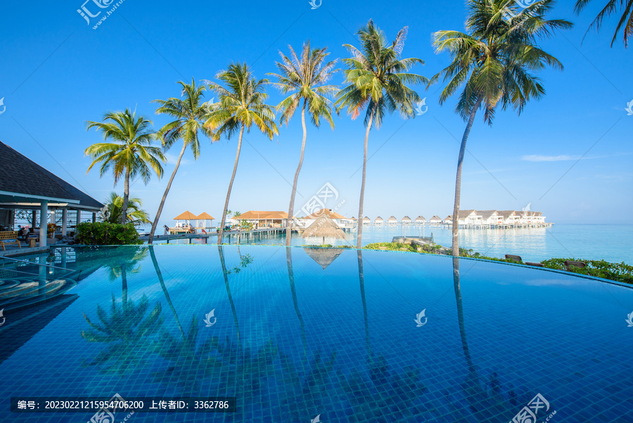 马尔代夫椰树水屋泳池