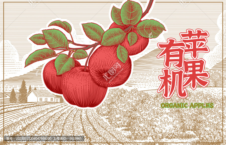 紅蘋(píng)果