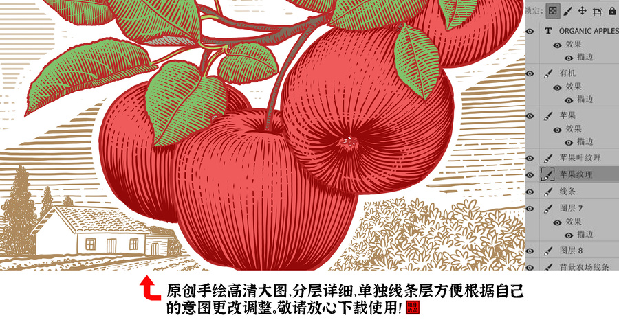 紅蘋(píng)果