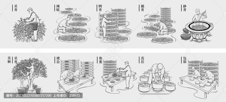 普洱茶制茶工艺流程图长卷