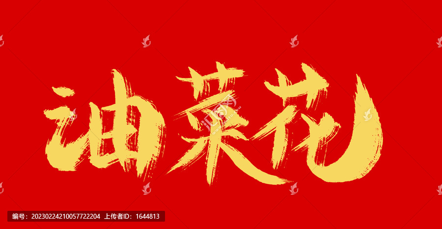 油菜花