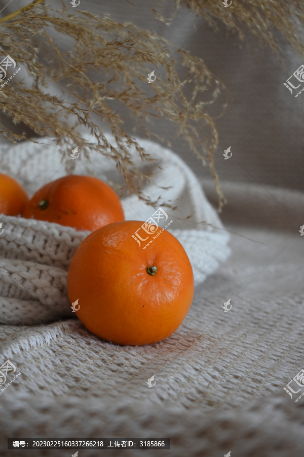 复古油画居家时尚艺术柑橘摄影