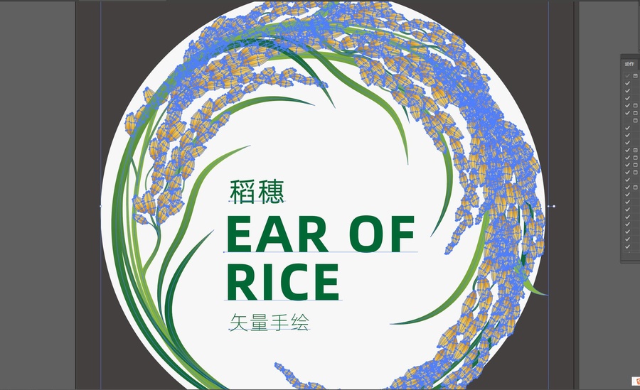 水稻插画