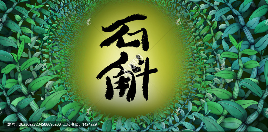 石斛插畫(huà)