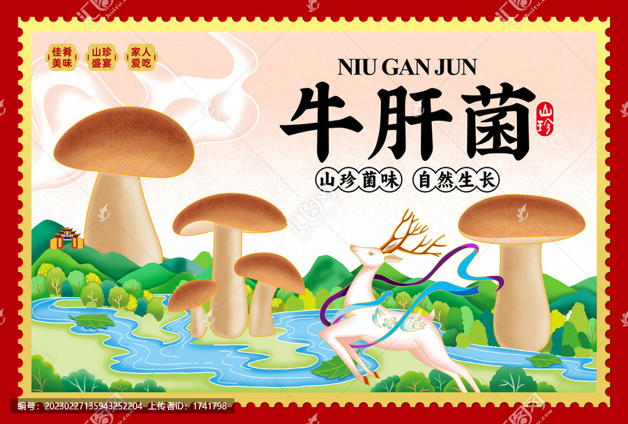 牛肝菌