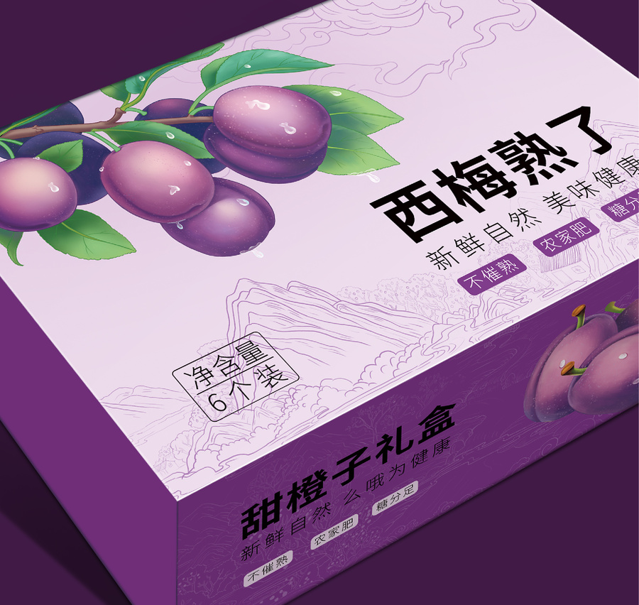 西梅包裝水果包裝西梅手繪