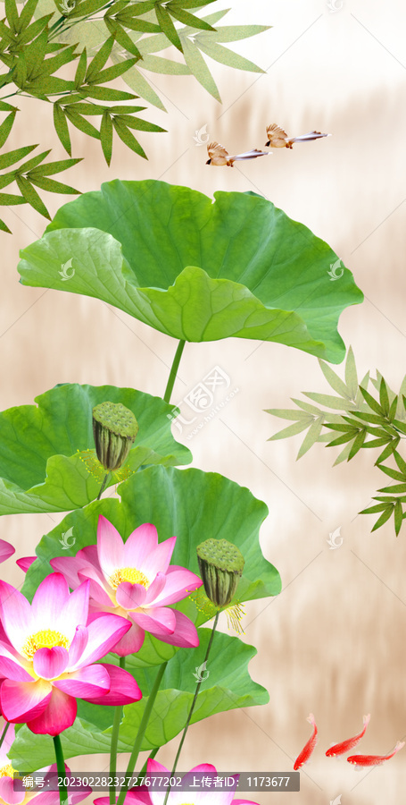 荷花玄關
