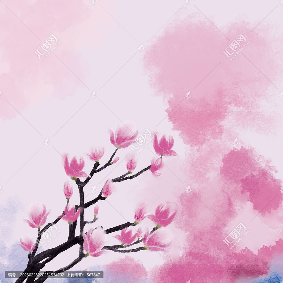 白玉蘭