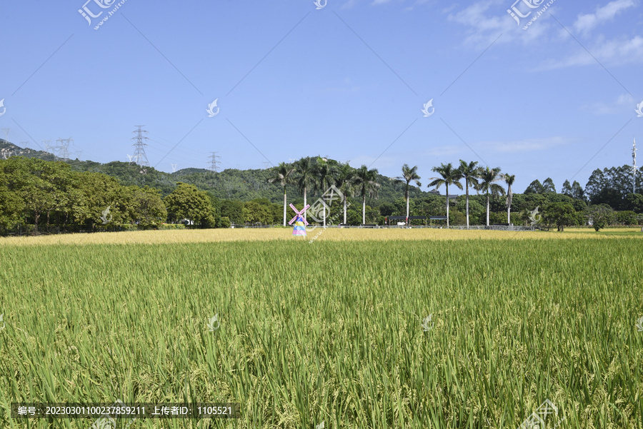 美丽乡村