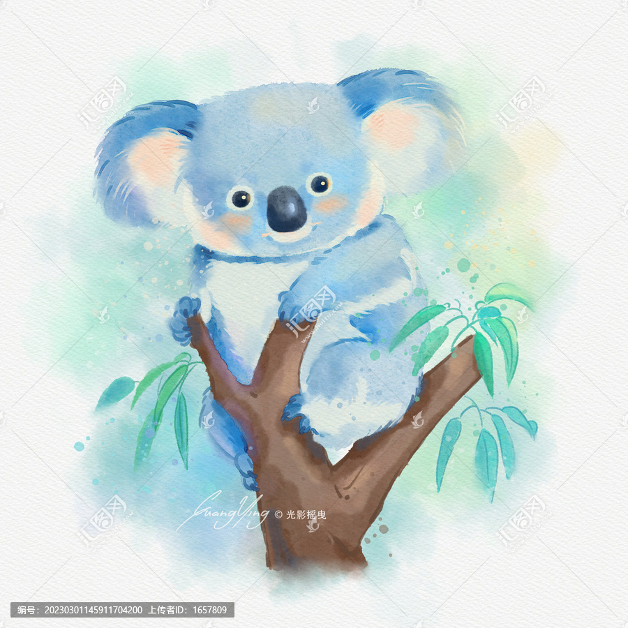 水彩樹袋熊插畫