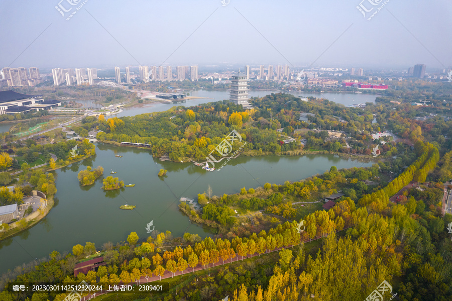 灞河湿地