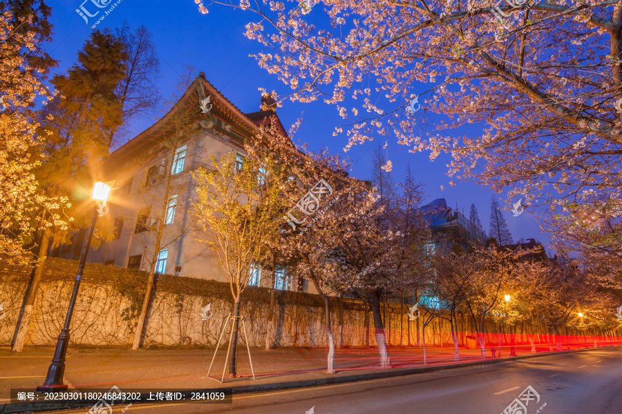 中国南京樱花古建筑夜景