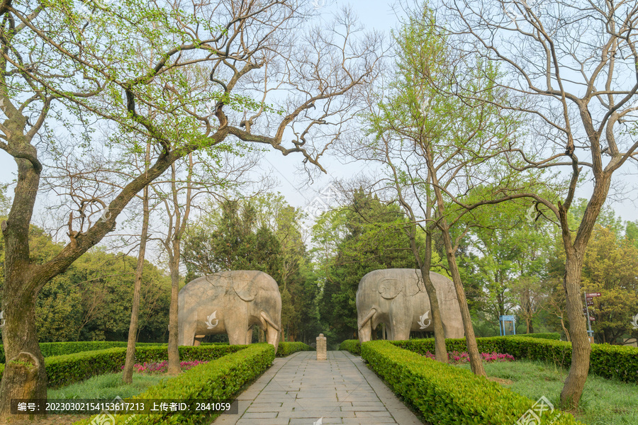 春天中国南京明孝陵风景区