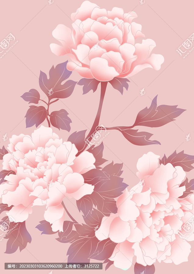 手繪牡丹