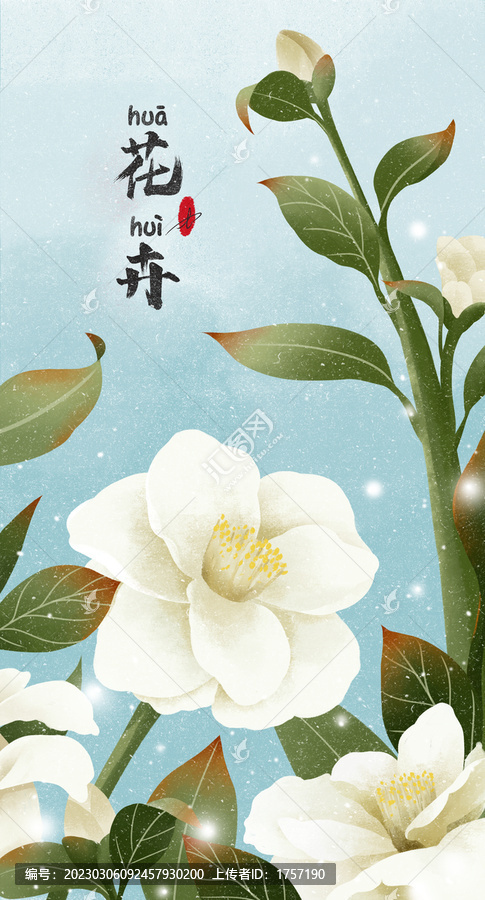 手繪茶花
