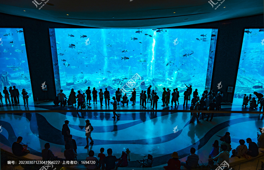 水族馆的游客们