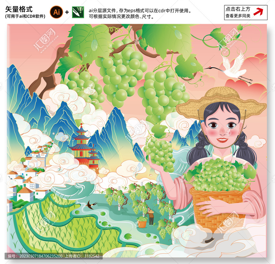 陽(yáng)光玫瑰手繪插畫